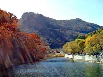 管家婆黑白马报图库，琼海论坛